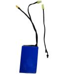 Customized 18650 Battery Pack 36V 2600mAh 10 Cells With Small Tamiya Transfer