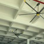 Natural Breeze System with Large Industrial HVLS Ceiling Fan