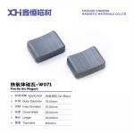 High Density Wet Compression Molding Permanent Ferrite Magnet For Fan Motor W071