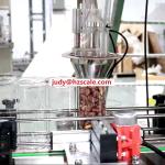 Customized Food Grade Automatic Packaging System For Nuts Candy Bottle