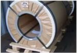 Galvanized Steel Coil for Building Container and Boiler Plate Applications 6m