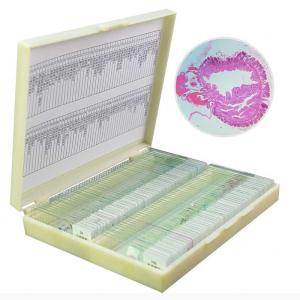 Quality 100pcs Biological Animal Tissue Medical Microscope Slides With Specimens wholesale