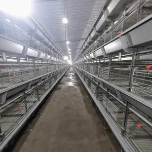 Quality H Type 6 Tiers Automatic Broiler Feeder 1800x1200x410mm wholesale