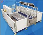 Customized High Strength Pig Feeding System For Livestock Piglet
