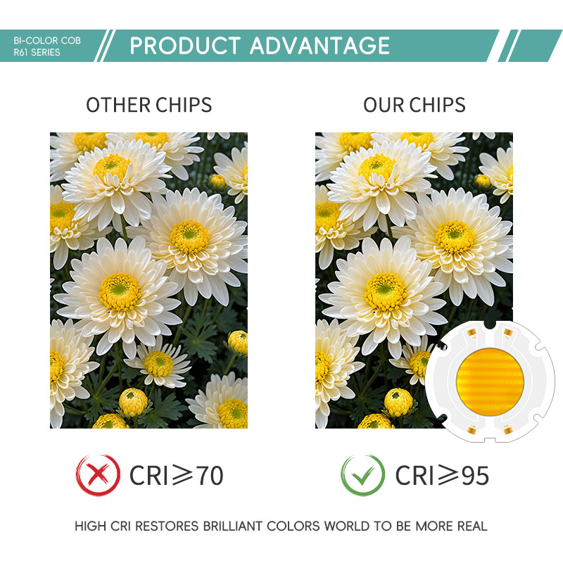 High Power 200W R61 60X60MM 34MM LED COB Chip Bi Color Flip Chip for Stage Light CCT 620nm/460nm