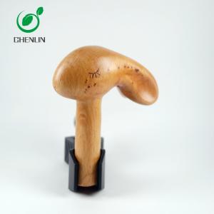 Quality Waterproof Unique Hand Carved Umbrella Handle With Hardwood Ashtree Material wholesale