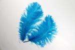 Carnival Costumes Decoration Millinery Feather , Ostrich Plume Feathers Multi