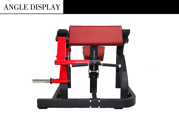 Body Fitness Hammer Strength Plate Loaded Equipment / Biceps Curl Machine