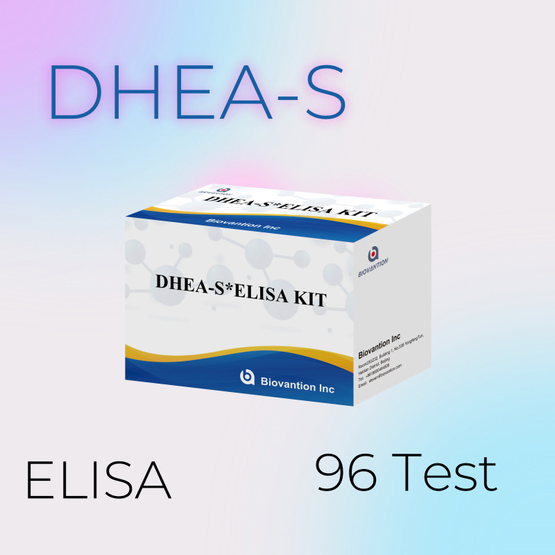 Biovantion Test Dehydroepiandrosteronesulfate DHEA-S Sensitive Elisa Test Kit