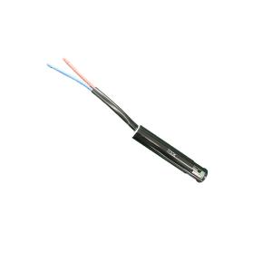Quality 50W 0.3Ω Auto Blower Motor Resistor R30 Resistance Range for car wholesale