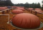Household Biogas Digester Tank Clean Energy Saving Biogas Reactor