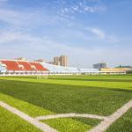 14000 Dtex Artificial Turf Grass Diamond Shape PE 20mm Anti Ultraviolet