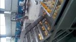 Rooted Plant Fruit And Vegetable Processing Machinery Washing Equipment Large