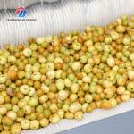 Hair Stick Peeling Cleaning Machine Brush Type Ginger Cleaning Machine for