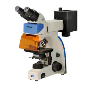Quality Binocular Upright Fluorescence Microscope LF-202 wholesale