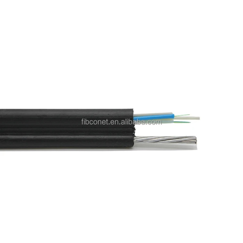 Waterproof GYTC8S 24 Core Armored Self-Supporting Optical Cable for Outdoor Networks