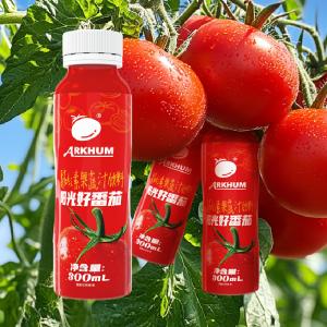 Quality 100 Natural Tomato Fruit Juice Bottling Tomato Juice Drink 100 Ml wholesale