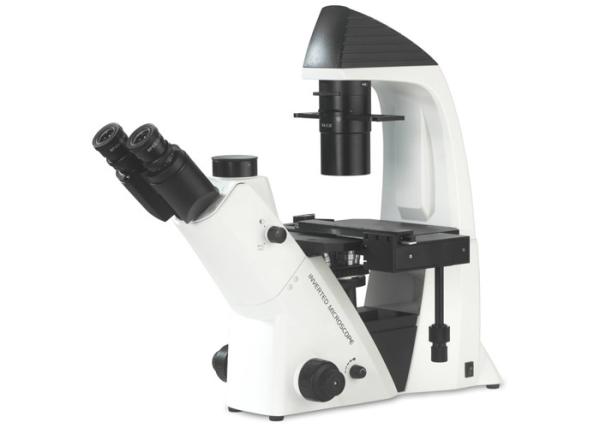 Cheap Wide Field Eyepiece Inverted Biological Microscope , Educational Microscope for sale