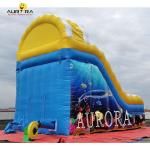 Blue Yellow Playground Inflatable Water Slide Rental For Parties And Events