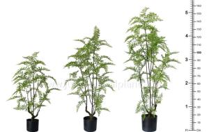 Quality OEM ODM Plastic Fern Plants 100% Botanically Accurate Structure Waterproof wholesale