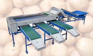Quality Automatic Rolling Rod Type Potato Grader Machine wholesale