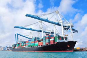 Quality FCL LCL International Shipping Routes From China To The United States And Canada wholesale