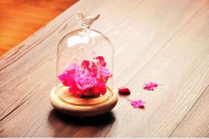 Quality glass dome for display decorations with base wood wholesale