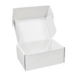 Fashion Style Retangular Mailer Paper Box White Shoes And Clothing Shipping