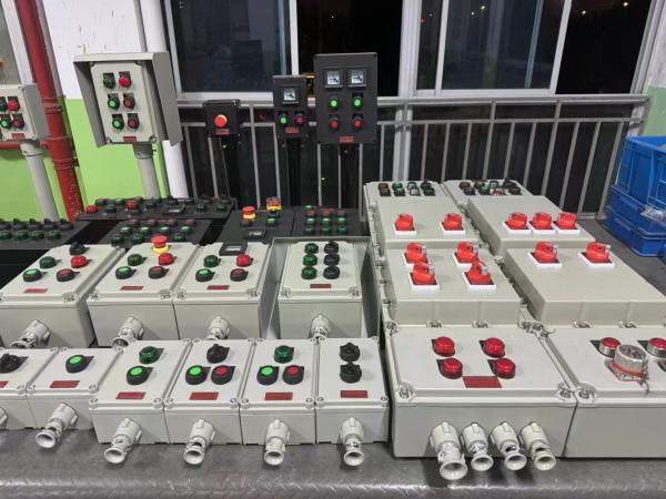 ATEX CNEX Certified Flameproof Panels Rated AC220/380v Powder Coated for