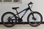 Made in China CE standard 24 inch alumimium alloy 21 speed mountain bike/bicycle