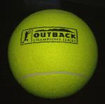 9.5inch gaint Inflatable toy ball