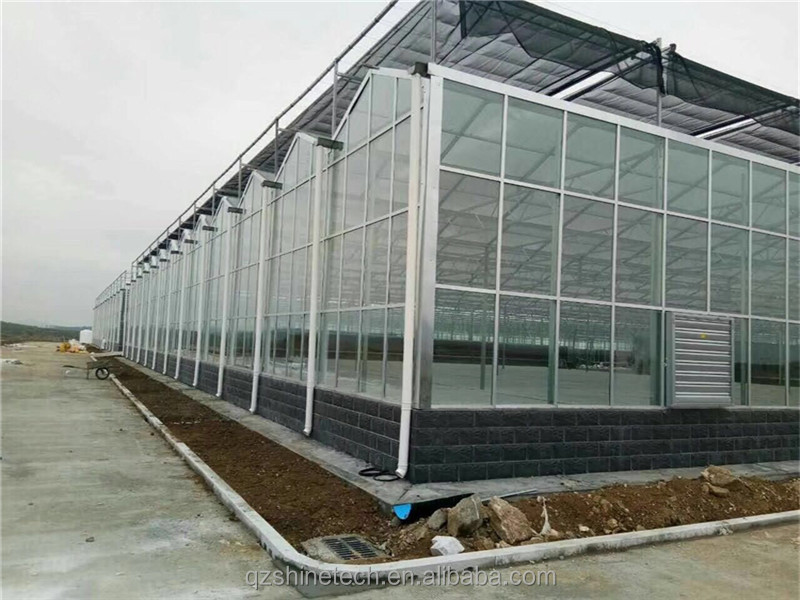 Super Strong Resistance Venlo Glass Greenhouse for Commercial Agricultural Turnkey Project