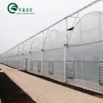 Transparent Beach House Tent Greenhouse with Hot Galvanizing Aluminum Steel