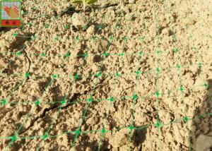 Quality Polypropylene Agricultural Turf Netting Green Color Hole Size 35mm * 20mm wholesale