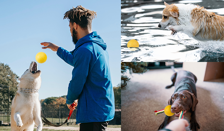 Interactive EVA Indestructible Tennis Ball Float Unbreakable Tennis Balls For Dogs