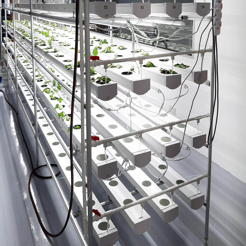 Soilless Indoor Farming Strawberry Growing PVC Tube For Hydroponics NFT System For Sale