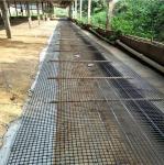 Chinese Design Style Biaxial Geogrid Fence for Chicken Roadbed Roadbed Load