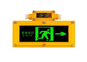 Quality Automatic Lighting Explosion Proof Emergency Light 0.3S Emergency Start wholesale