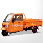 Customized 200CC 250CC 300CC 350CC Enclosed Cabin Cargo 3wheels Motorcycle