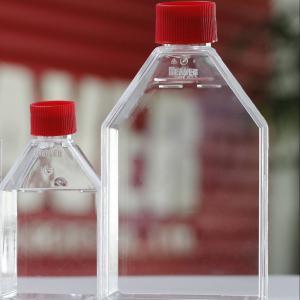 Quality Suspension Cell Culture Flask 75cm2 Tissue Culture Flask wholesale