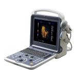 Abdomen, gynecology, obstetrics, cardiology, small parts, urolog Ultrasound