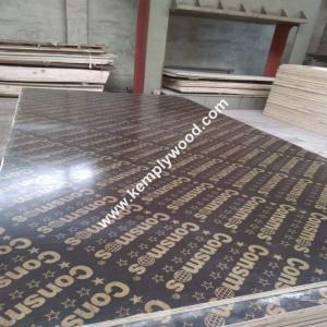 Quality 72 Hours boiled Phenolic Dynea Glue Poplar Film Faced Plywood wholesale