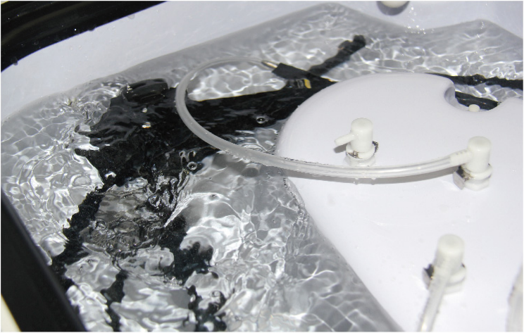 Factory price for the Hospital Automatic flexible endoscope washer disinfector