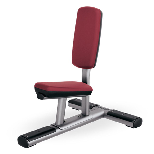 Freeman Commercial Gym Fitness Equipment Utility Chair