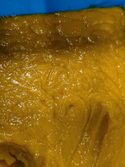 Fruit Juice Double Stage 10TPH Mango Processing Line