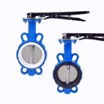 2 inch Ductile Iron Wafer Butterfly Valve ANSI 150 DIN JIS Silver for General