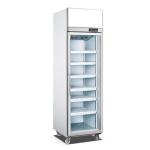 Aluminum Frame R134A 250W Convenience Store Display Cooler