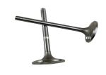 Cater3306 Intake Valve Exhaust Valve