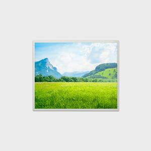 Quality LVDS 500nits High Brightness LCD Screen 19 Inch LCD Display 1280*1024 wholesale