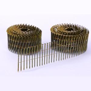 Quality Screw Siding Hot Dipped Galvanized Coil Nails wholesale